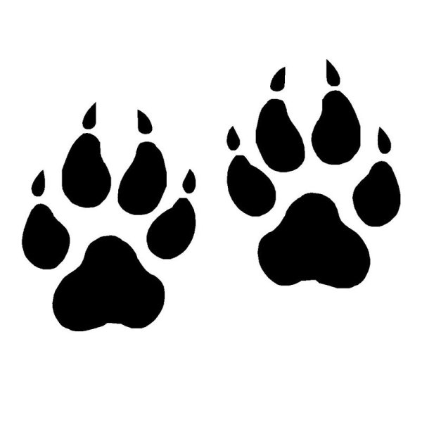 Отпечаток лапы волка