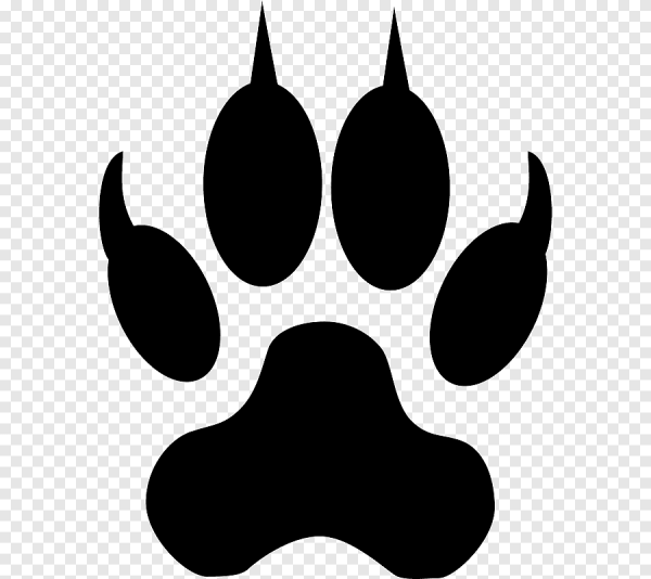 Отпечаток лапы