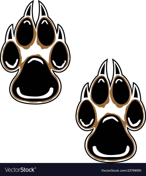 Отпечаток лапы волка