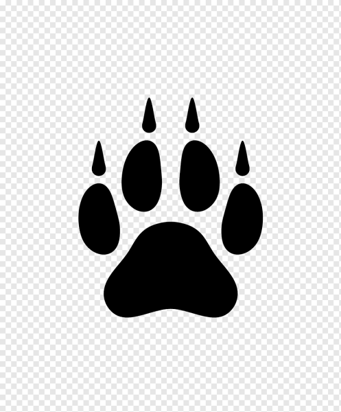 След собаки