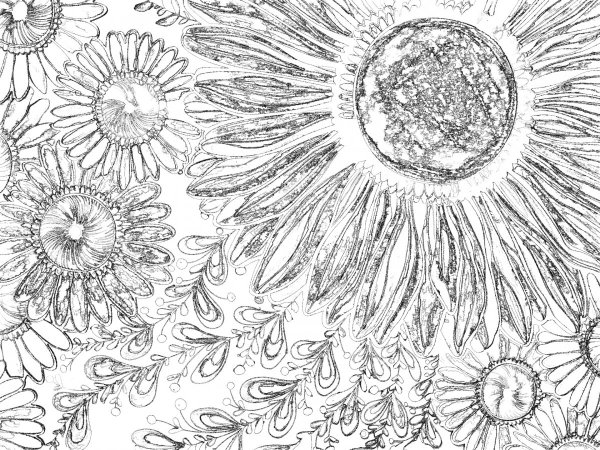 Фон цветы карандашом