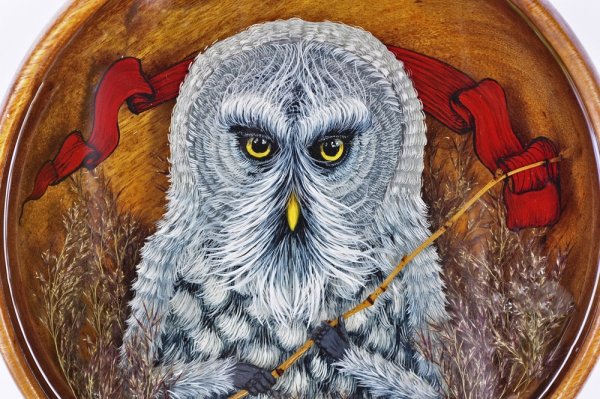 Сова и заяц