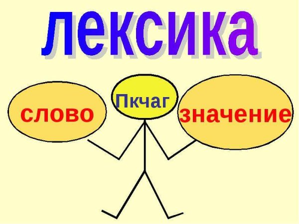 Лексика и фразеологизмы