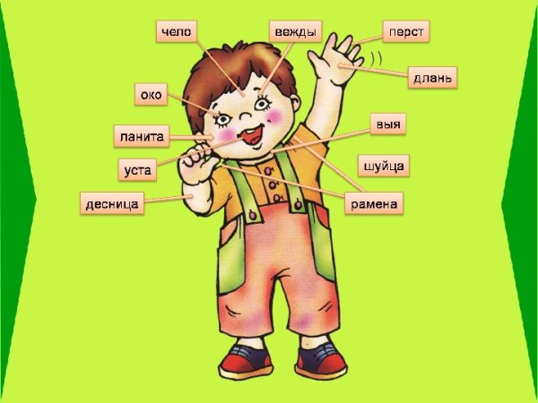 Страна лексикология