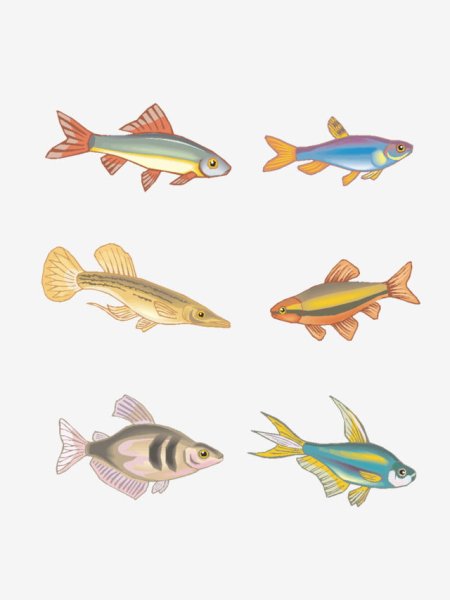 Маленькие рыбки