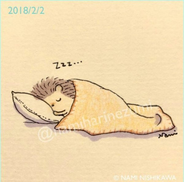 Ёжик спит на подушке