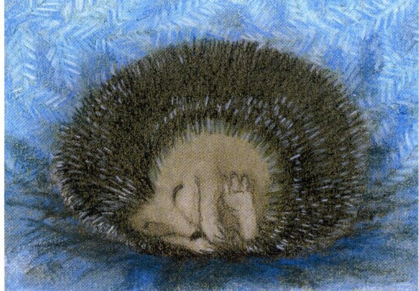 Ежик спит в норке