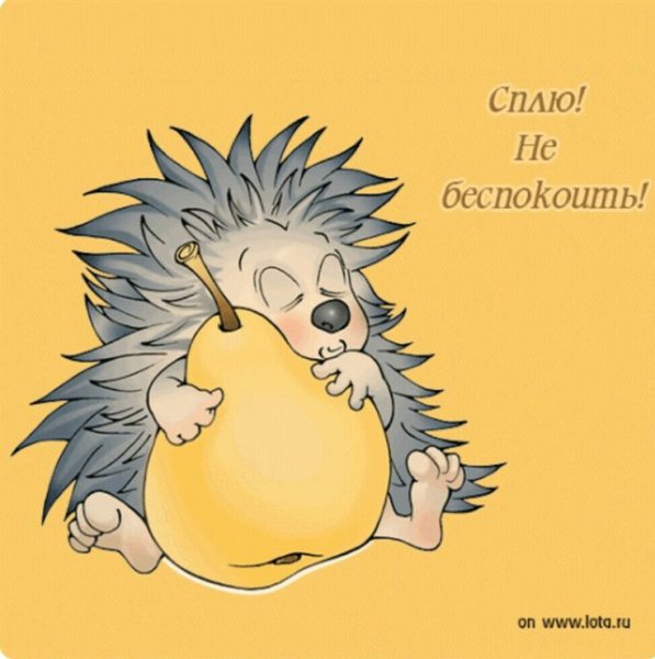 Спокойной ночи от Ёжика