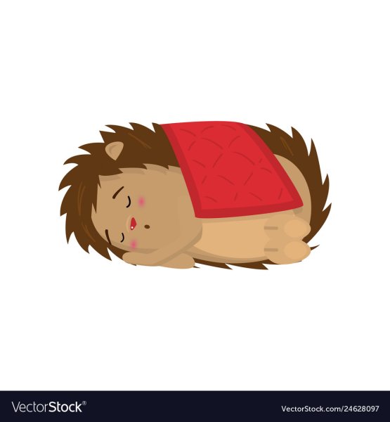 Спящий Ежик для детей