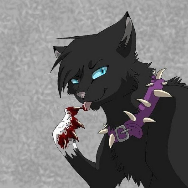 Коты Воители Бич