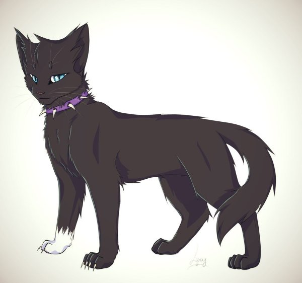 Коты Воители Бич