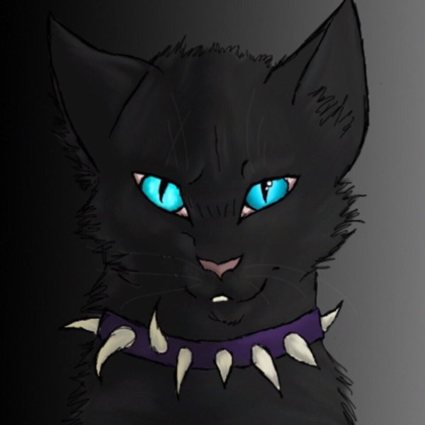 Коты Воители Бич арт