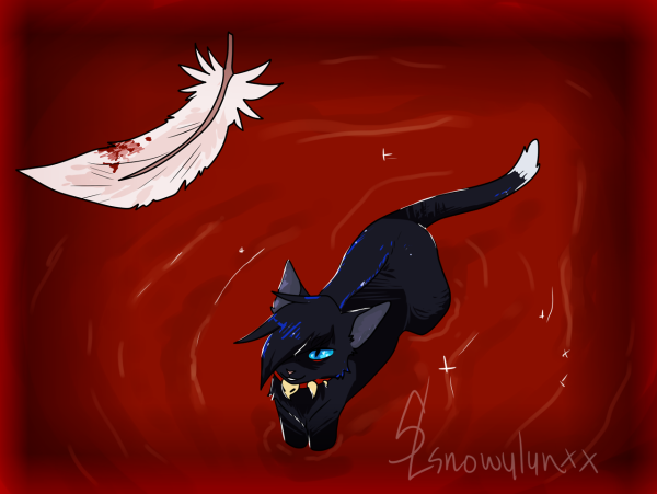 Бич коты Воители милый