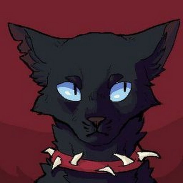 Бич коты Воители милый