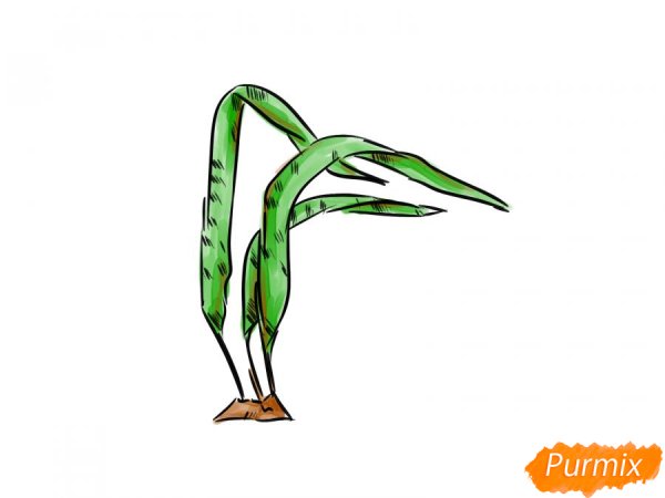 Как нарисовать морскую капусту