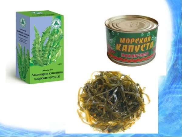 Бурые водоросли ламинария строение