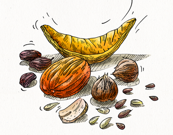 Сушеные фрукты нарисованные