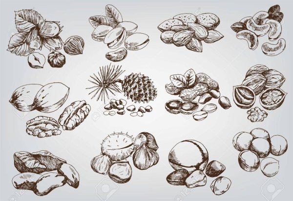 Стилизованный орех