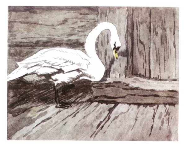 Иллюстрации к рассказу приемыш Мамина Сибиряка