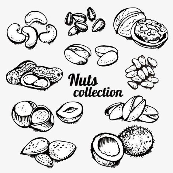 Сухофрукты силуэт