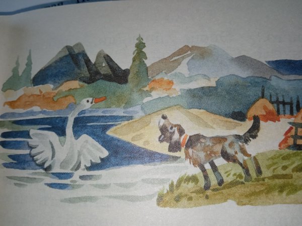 Приёмыш мамин Сибиряк