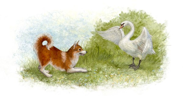 Приёмыш мамин Сибиряк рисунок