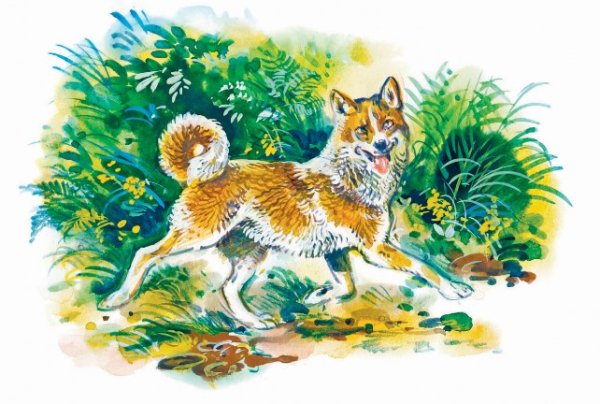 Соболько мамин Сибиряк