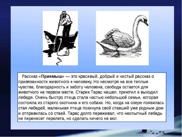 Приёмыш мамин Сибиряк