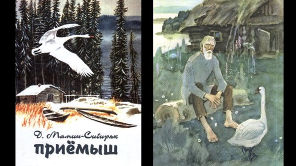 Лебедь кликун раскраска для детей