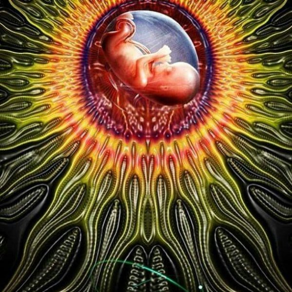 Алекс грей Мандала