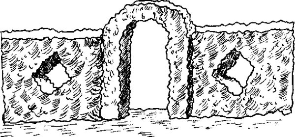 Рисунок из живой изгороди живой