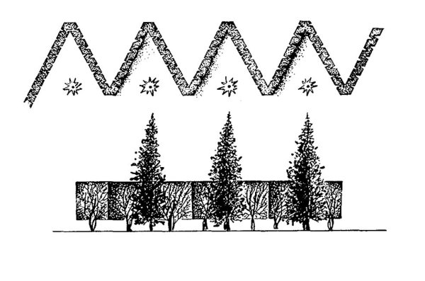 Эскиз живой изгороди