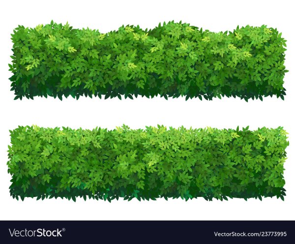 Изгородь вид сверху