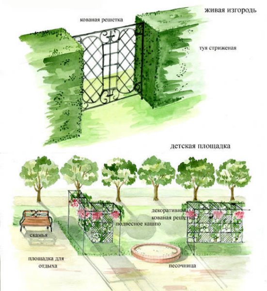 Шиповник Живая изгородь схема в ландшафте