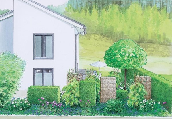 Живая изгородь акварелью