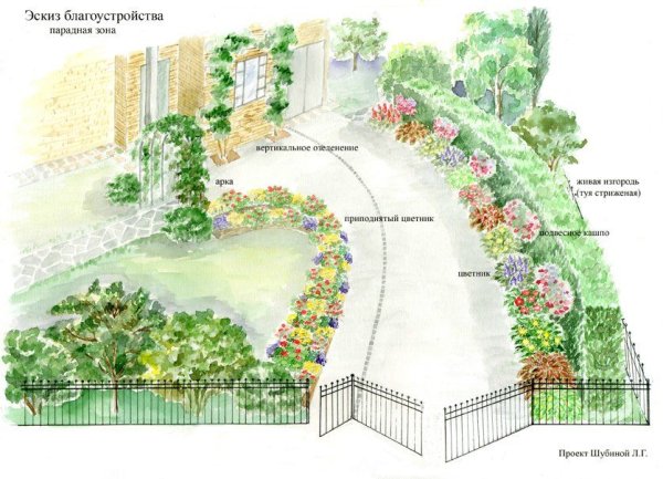 Эскиз цветника в ландшафтном стиле