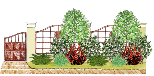 Клумба с липой