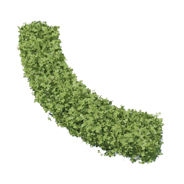 Живая изгородь вид сверху