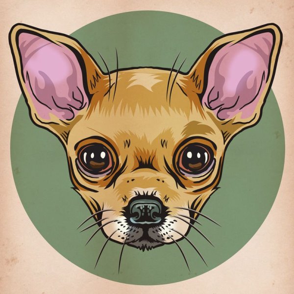 Собака в мультяшном стиле