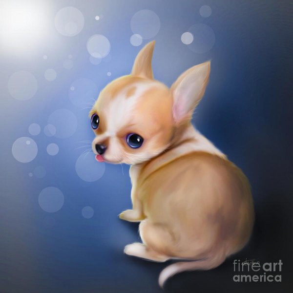 Чихуа мультяшка