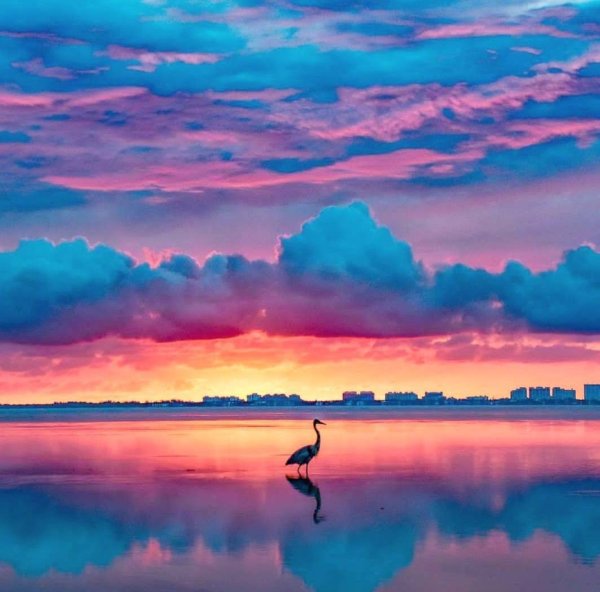 Розовый закат