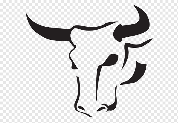 Бык очертание