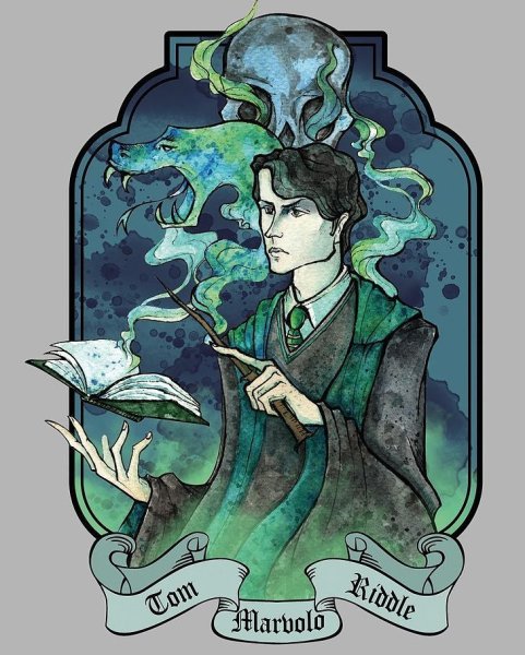 Том Риддл Хогвартс