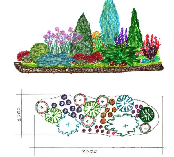 Каменистый сад схема