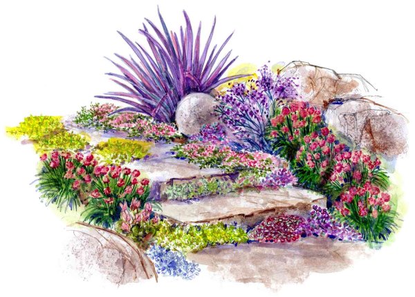 Альпинарий сад планировка