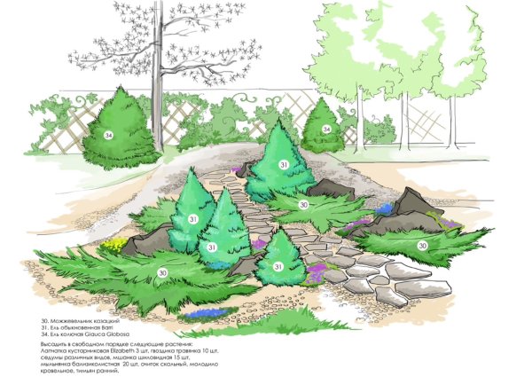 Альпийская горка дендроплан