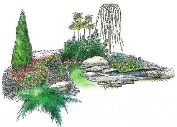 Цветник рокарий схема