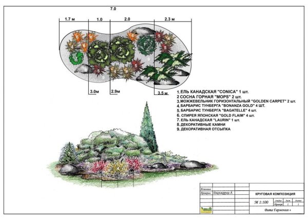 Рокарий схема посадки растений