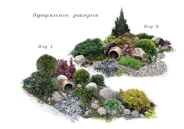 Каменистый сад проект