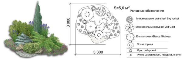 Рокарий Каменистый сад схема